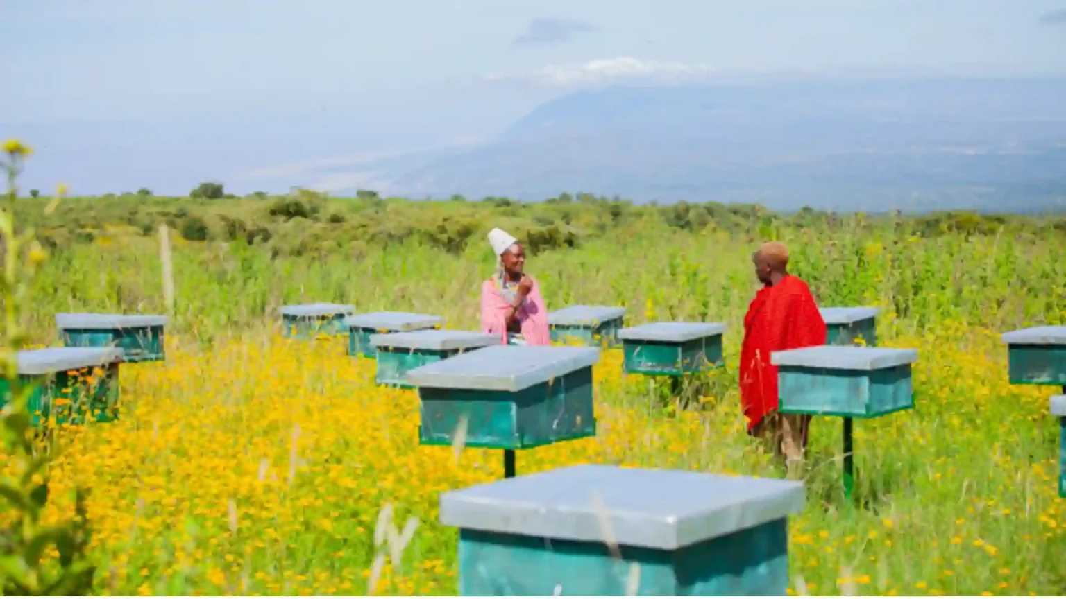 Breaking Barriers: How Skills Training is Empowering Tanzanian Women in 2026