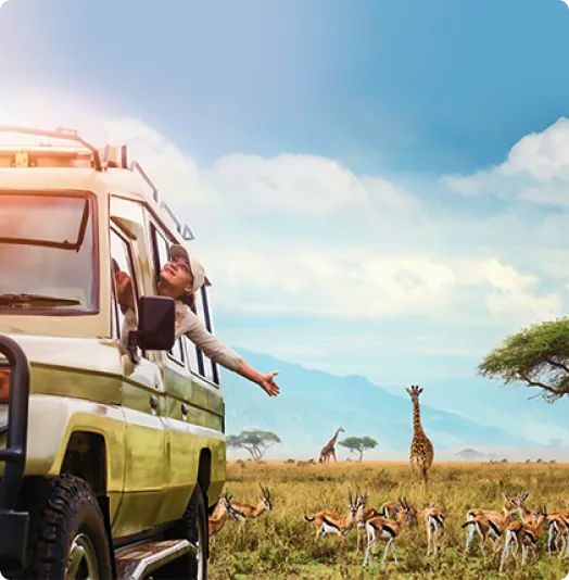 Wildlife Conservation Efforts in Tanzania: Protecting Our Natural Heritage